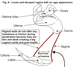 Figure A. - Represents a loose and big vagina and it naturally represents ugliness in the female.